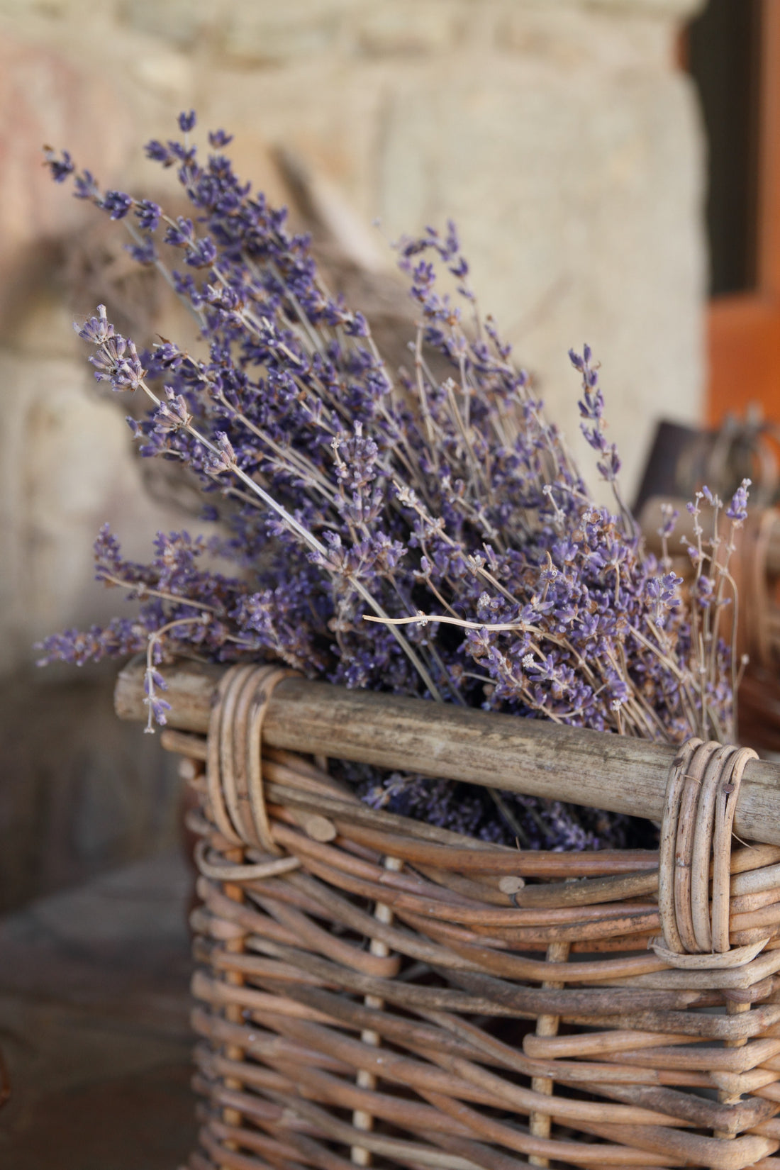 Tips to Prolong the Beauty of Your Lavender Bouquet
